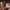 April community news 2025
